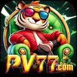 bv77 bv77 Profile Picture