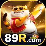 89r 89r Profile Picture